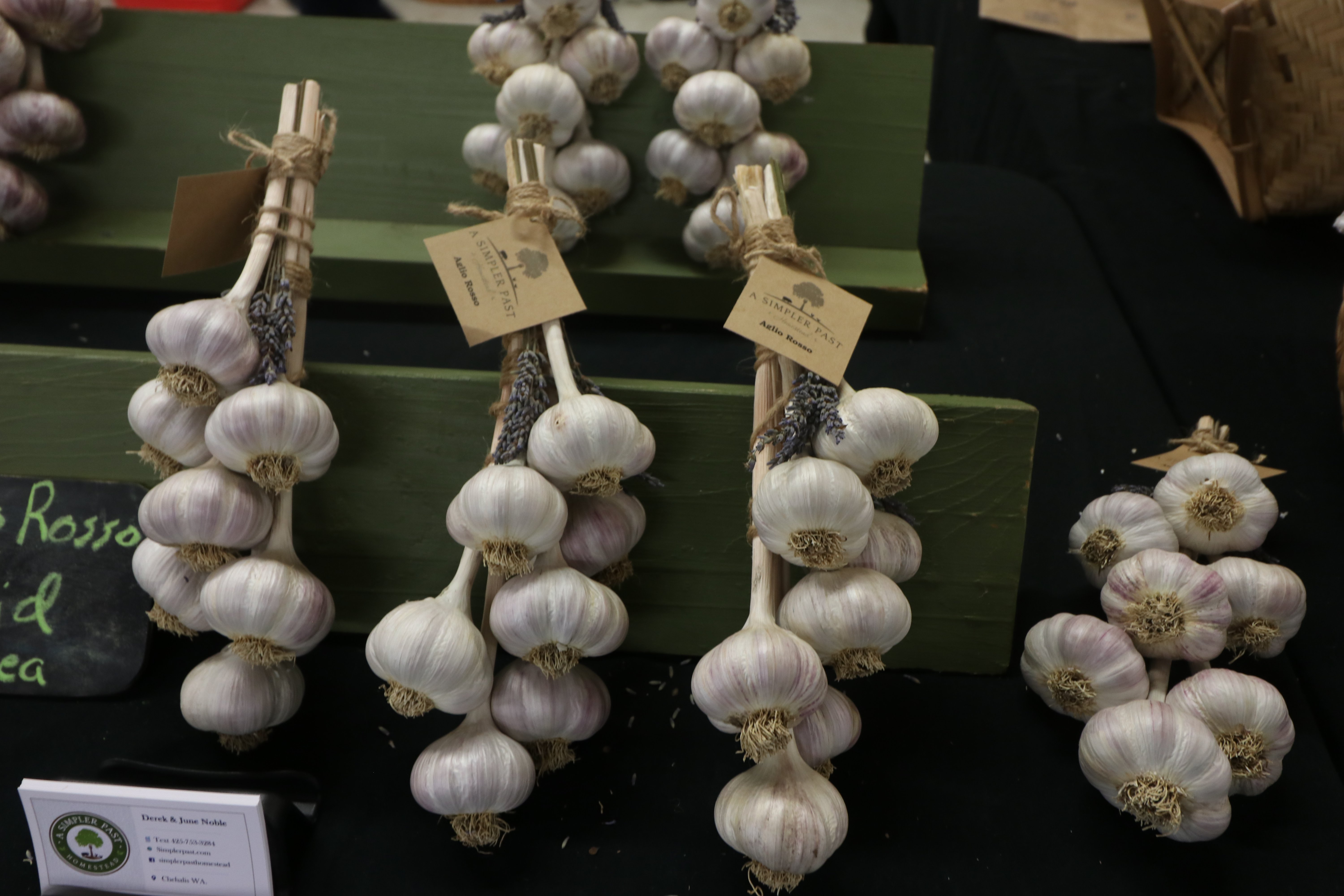 garlic